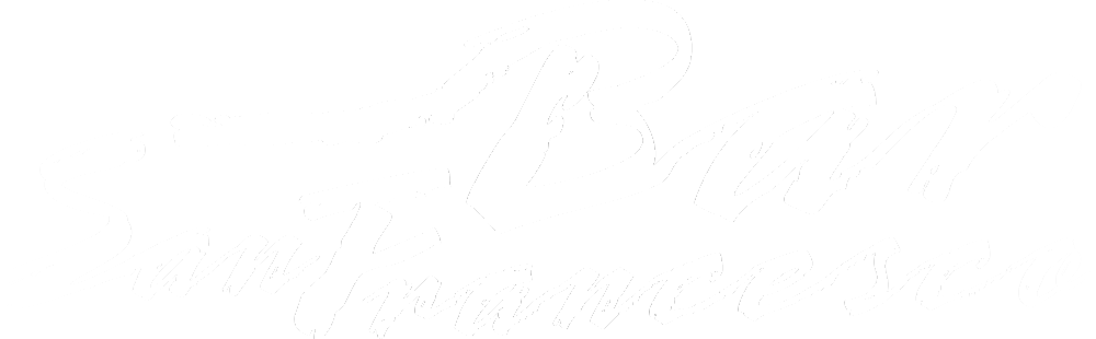 light logo